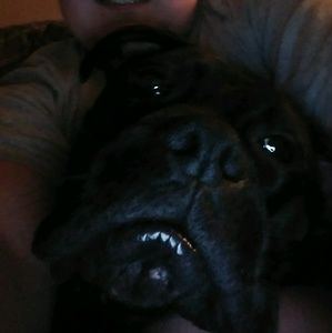 Meet your Posher, Steven